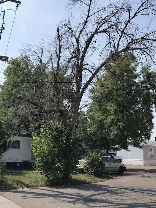 Columbine Mobile Home Park Picture 2