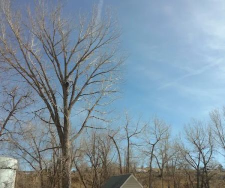 Sans Souci Community