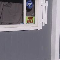 Blue Spruce Mobile Park ico