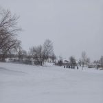 Vista Village Mobile Home