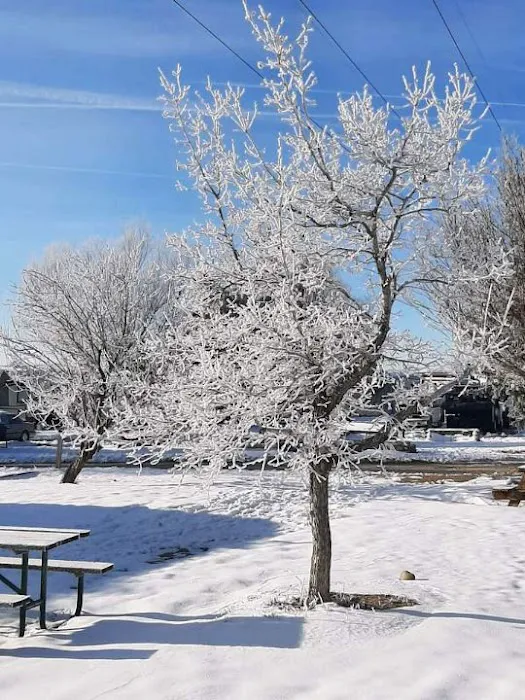 FaIcon's Landing RV Park Picture 4