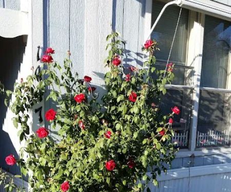 Sylmar Mobile Home Park