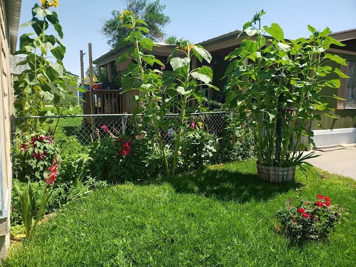Woodlands East Picture 2