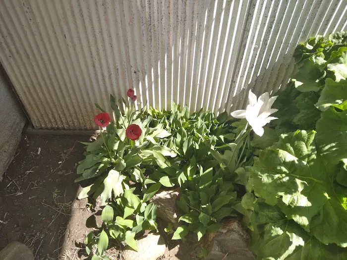 Meadow Village Mobile Home Park Picture 1