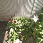 Meadow Village Mobile Home Park