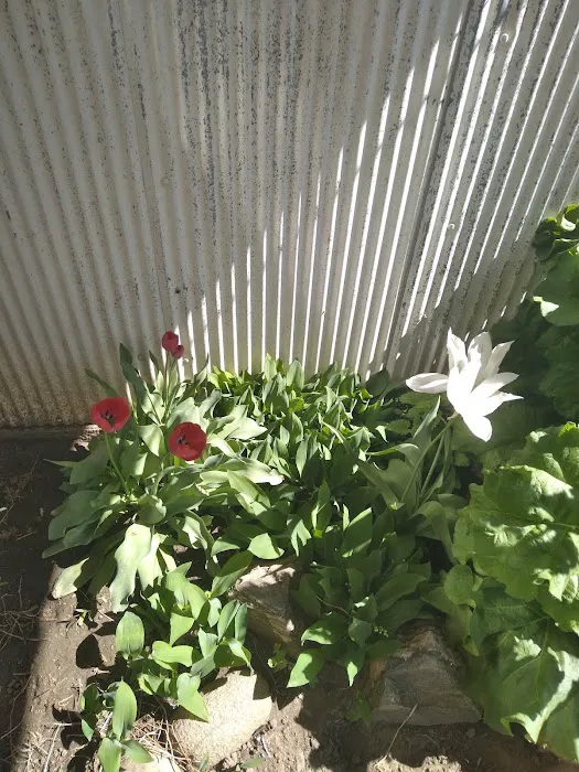 Meadow Village Mobile Home Park Picture 3