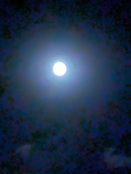 Sun Circle Mobile Home Park Picture 8