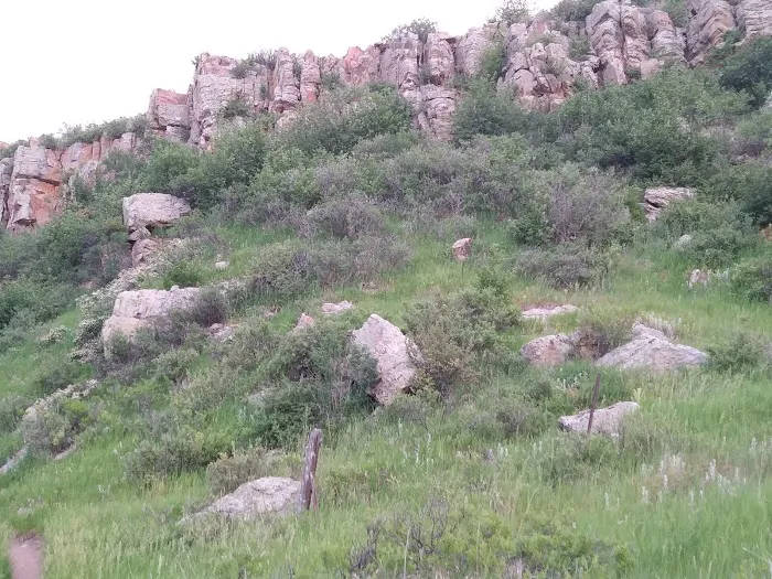 Mountain View Mobile Park Picture 2