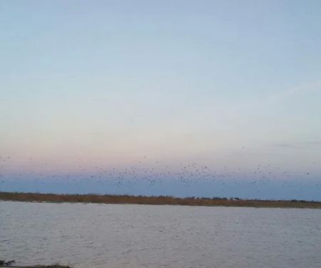 Mountain View Mobile Park