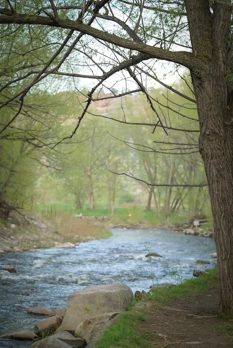 Riverview RV Park Picture 8