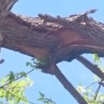 Mobile Home Park Fort Collins Colorado