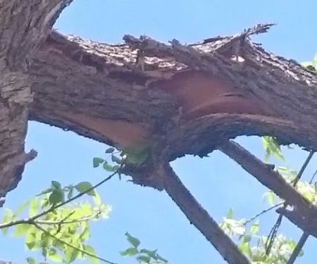 Mobile Home Park Fort Collins Colorado