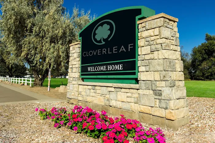 Cloverleaf Picture 6