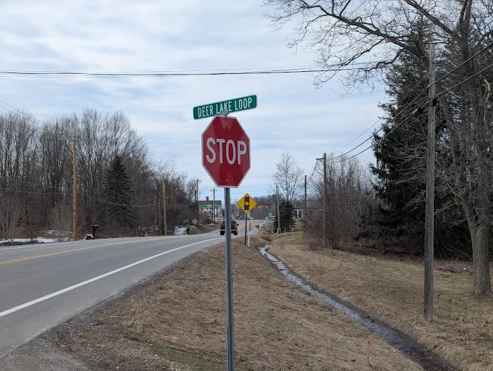 Deer Lake Manufactured Home Community Picture 8