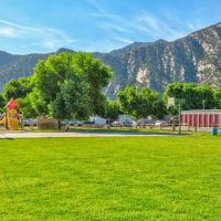 Apple Tree Park ico