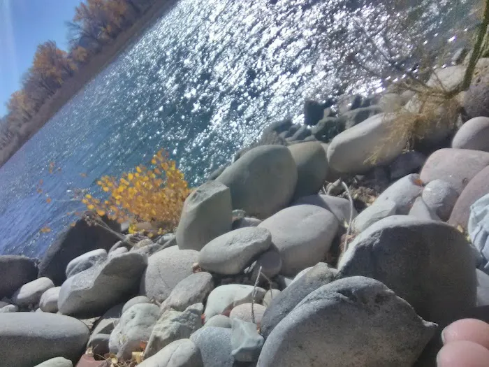 Heron's Nest RV Park & Camp Picture 5