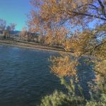 Heron's Nest RV Park & Camp