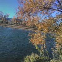 Heron's Nest RV Park & Camp ico