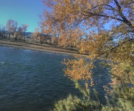 Heron's Nest RV Park & Camp