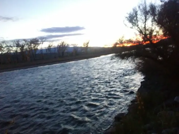 Heron's Nest RV Park & Camp Picture 7