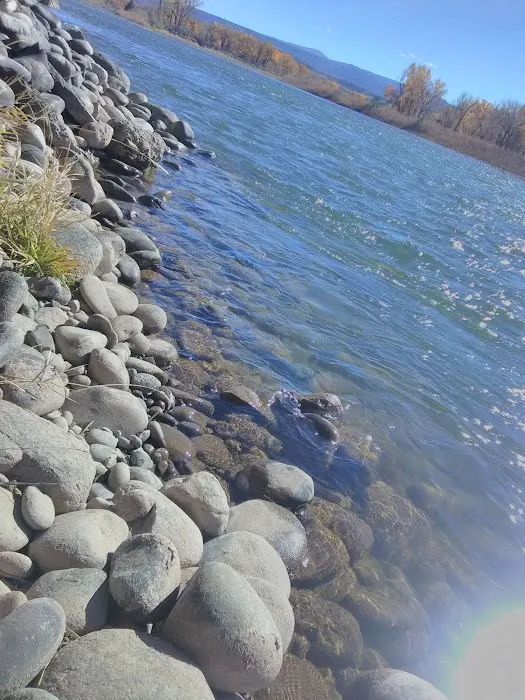 Heron's Nest RV Park & Camp Picture 10