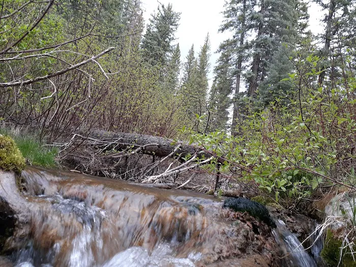 Cottonwood Springs Park Picture 3