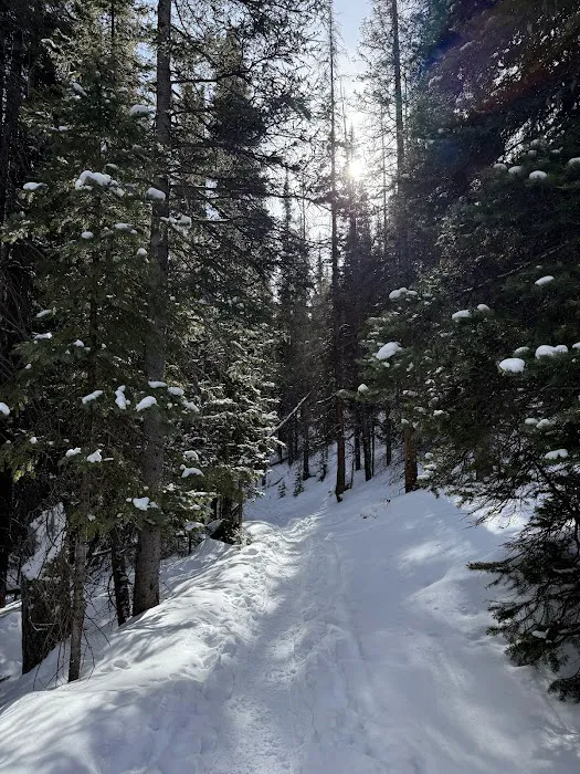 Cottonwood Springs Park Picture 9