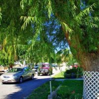 Shady Lane RV Park ico