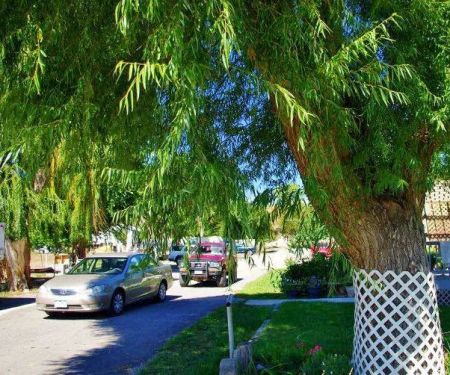 Shady Lane RV Park