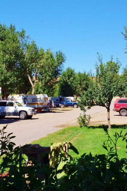 Shady Lane RV Park Picture 2
