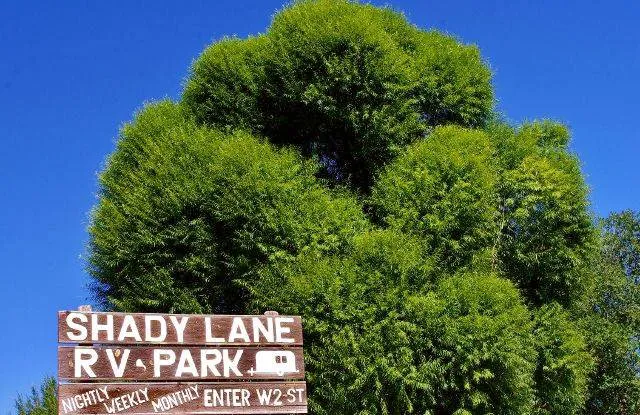Shady Lane RV Park Picture 3