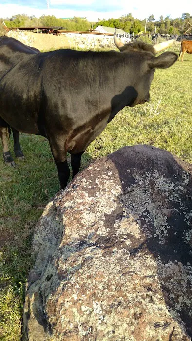 Collbran Picture 1