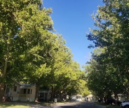 Rio-Vista Mobile Home Park