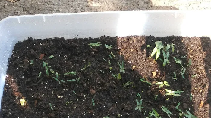 RV Ranch at Grand Junction Picture 7