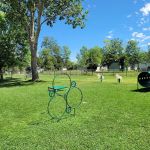 Midlands Village Manufactured Home Community