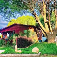 Garfield Estates ico