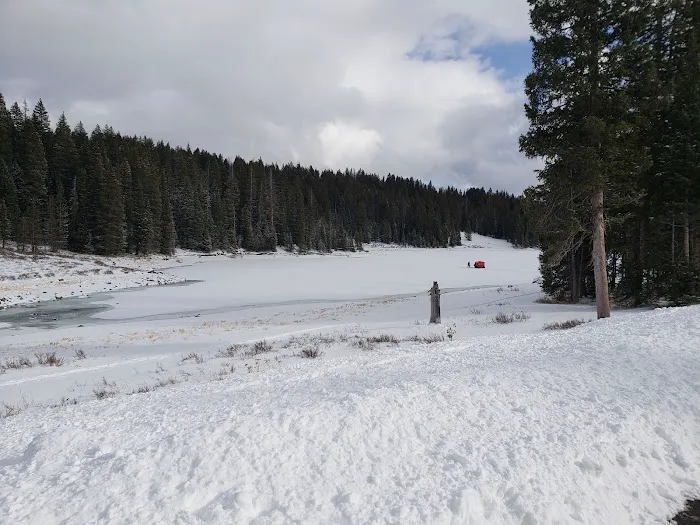 Aspen Trails Campground Picture 4