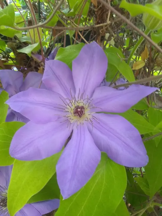 Parkwood Estates Picture 2