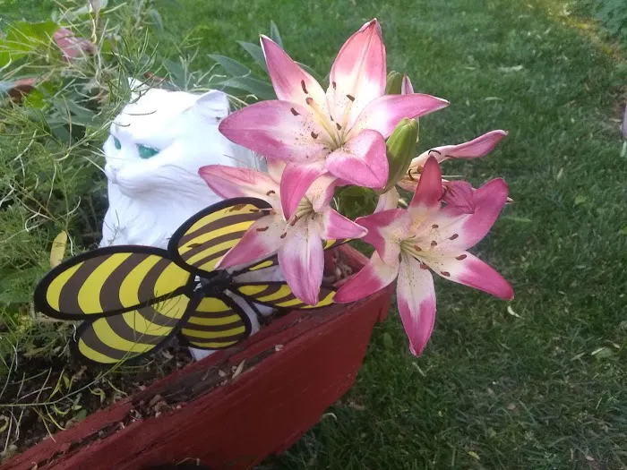 Parkwood Estates Picture 1