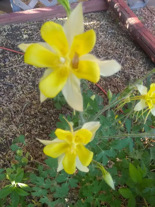 Parkwood Estates Picture 5