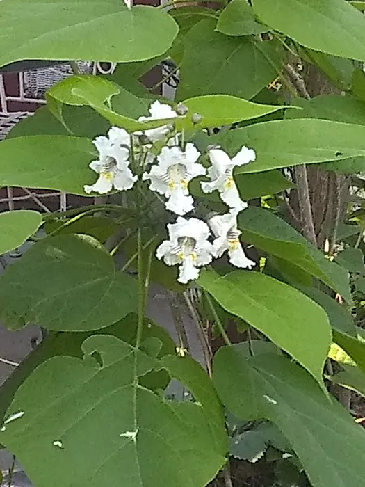 Parkwood Estates Picture 6