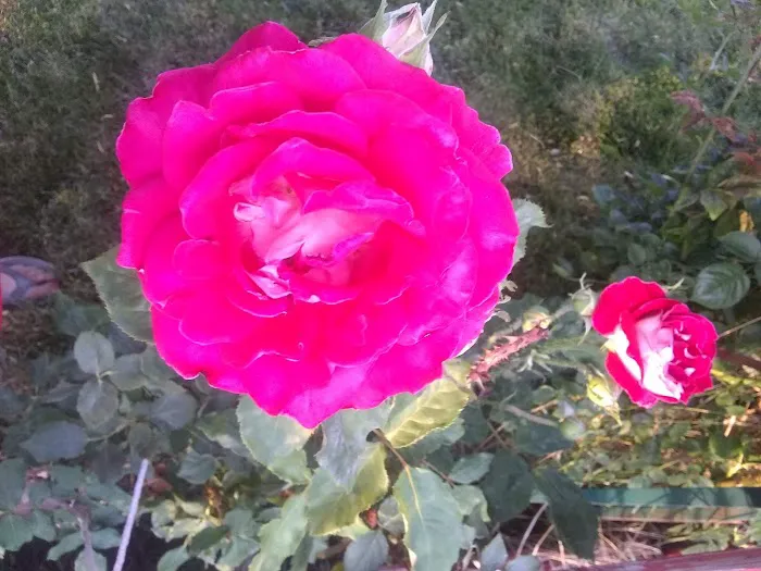 Parkwood Estates Picture 4