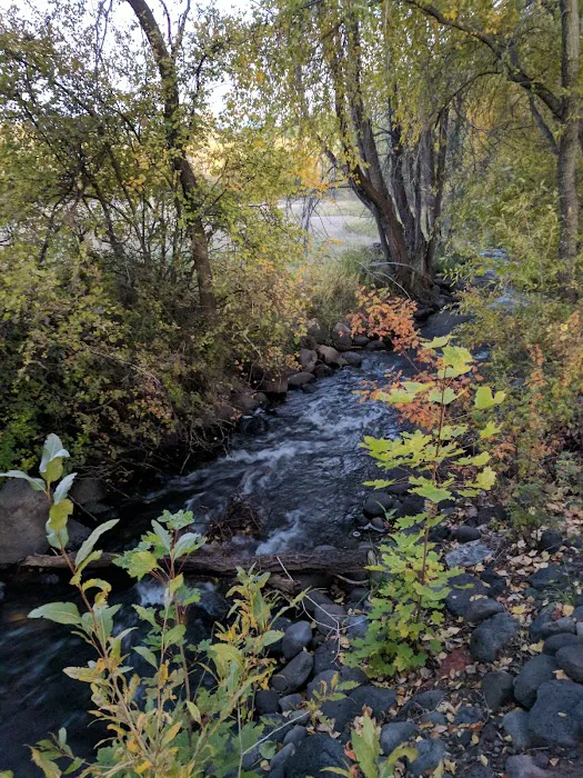 Shady Creek RV Park Picture 3
