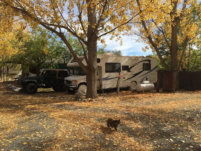 Shady Creek RV Park Picture 1