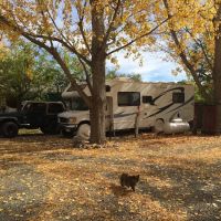 Shady Creek RV Park ico