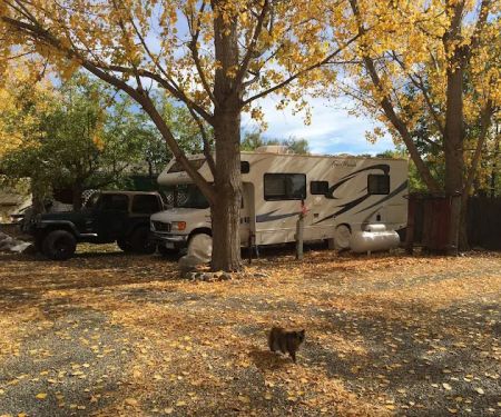 Shady Creek RV Park