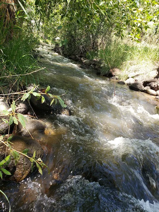 Shady Creek RV Park Picture 6