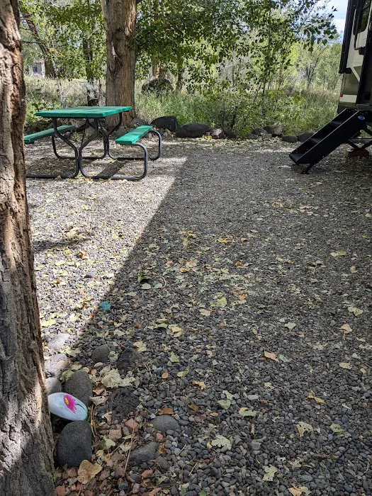 Shady Creek RV Park Picture 7