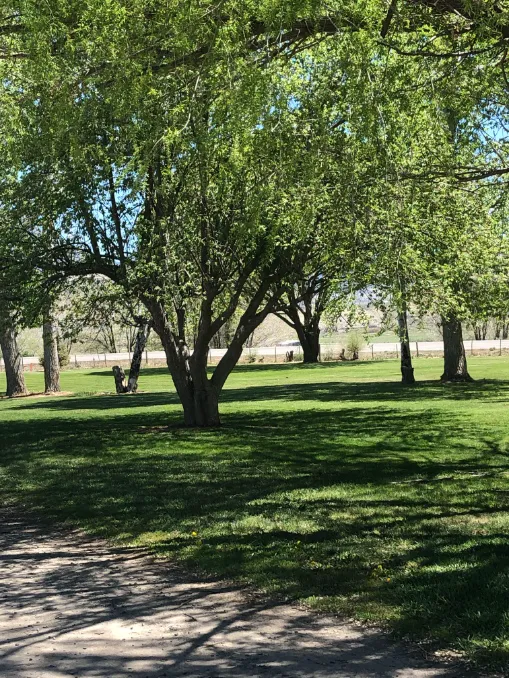 Mountain Valley Meadows RV Picture 2