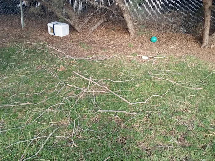 Western Hills Mobile Home Park Picture 7